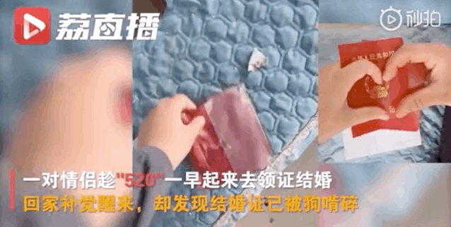 郑州蚂蚁运动健身房_郑州动感蚂蚁健身_郑州蚂蚁乐园