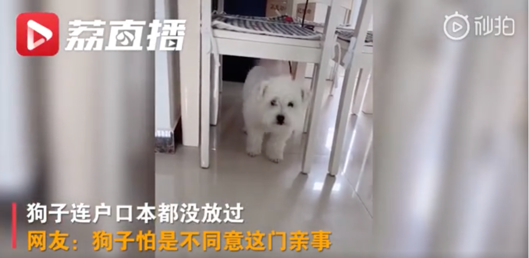 郑州蚂蚁运动健身房_郑州蚂蚁乐园_郑州动感蚂蚁健身