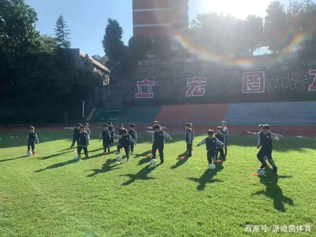 幼儿园足球规则图片_足球规则绘画_足球规则动画视频