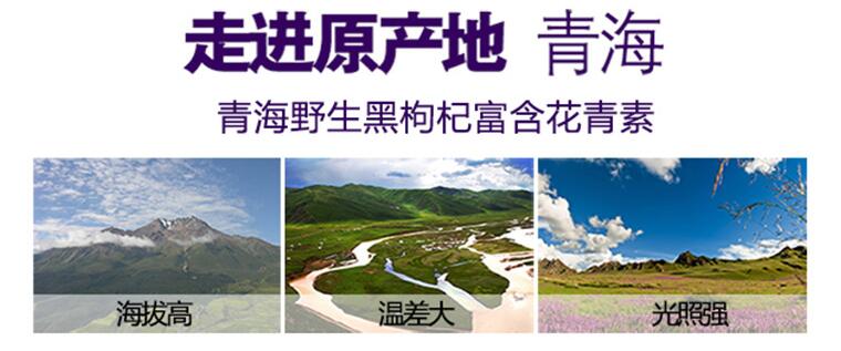 枸杞调理亚健康_枸杞滋补_枸杞子养生