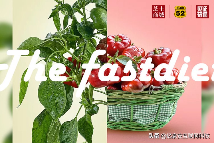 减肥餐营养成分比例_营养餐减肥是什么_减肥餐营养吗